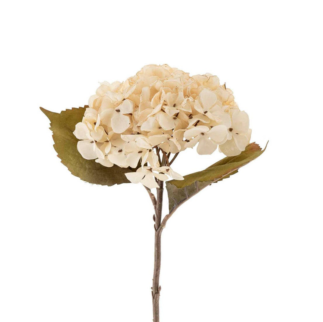 Hydrangea Floral Stem, Cream