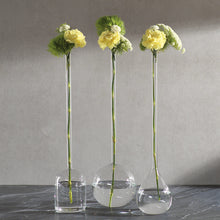 Load image into Gallery viewer, Long Neck Vase
