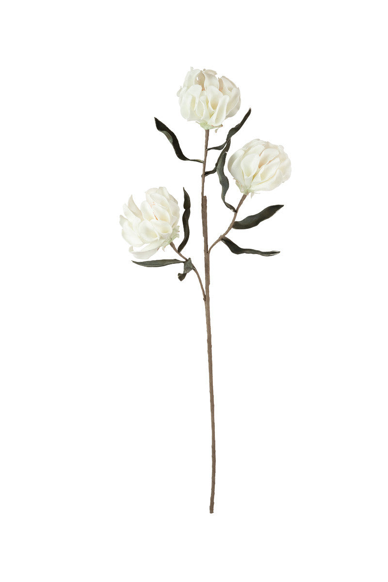 White Flower Stem